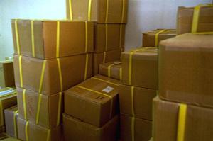 ドッグフードはここで買いましょう