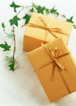 役立つ機能があるレースカーテン